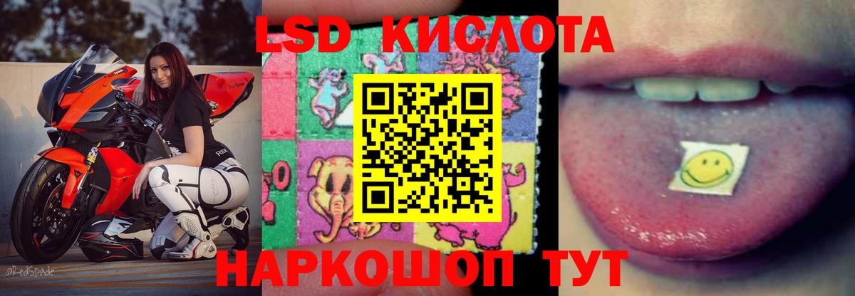 LSD-25 экстази кислота  Братск  Лсд 25 экстази кислота 