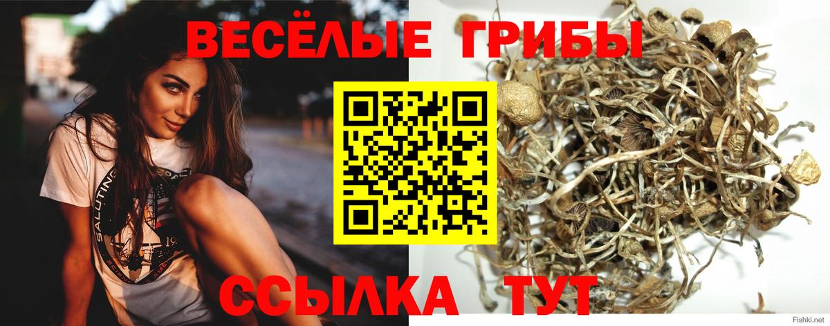 Псилоцибиновые грибы MAGIC MUSHROOMS  Братск 