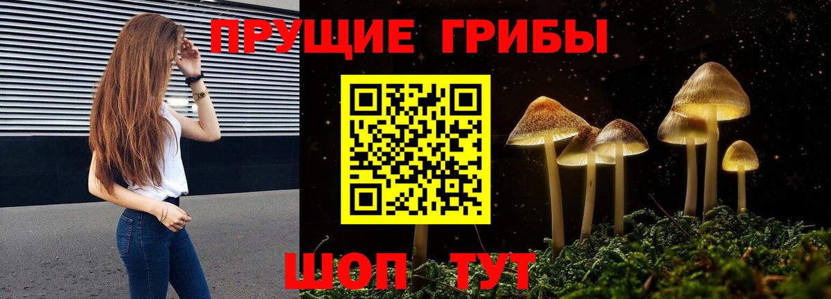 где продают наркотики  Вход с VPN  Братск  Псилоцибиновые грибы мицелий 